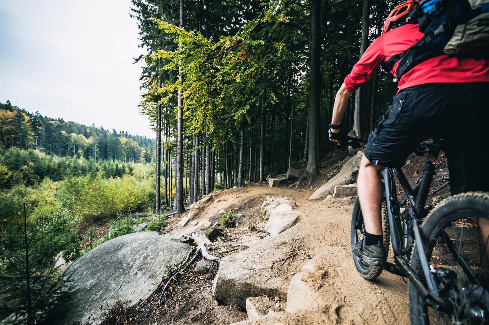 mountain bike piacenza