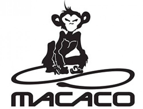 Macaco Climbing School