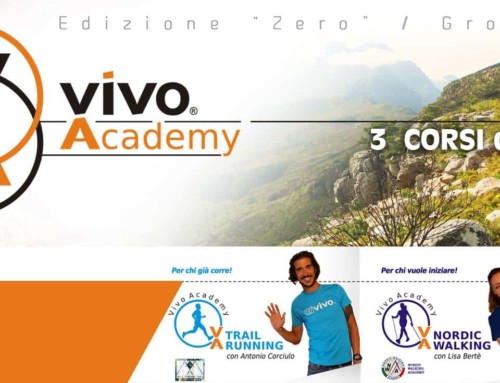 Arriva la Vivo Academy