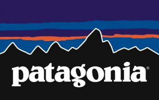 marchio patagonia