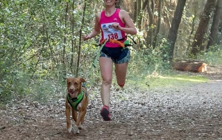 cani-cross-piacenza