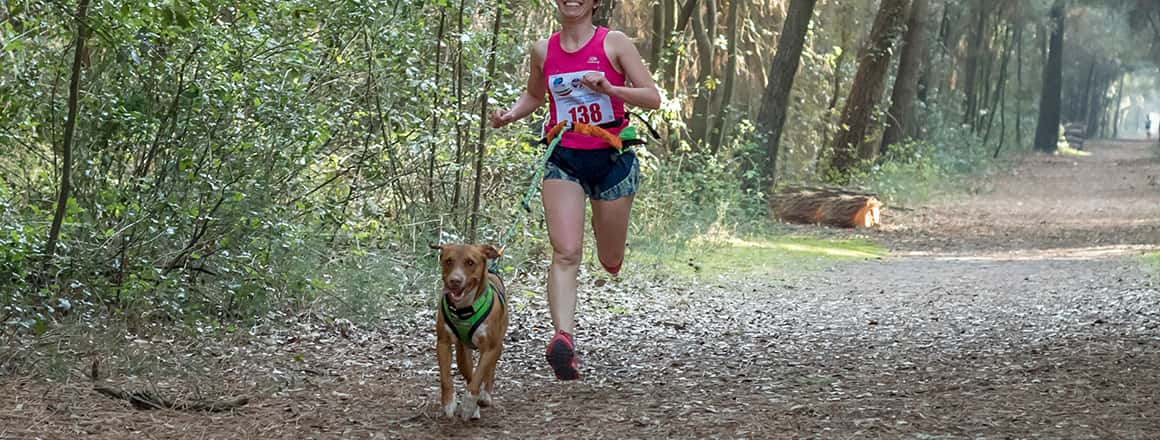 cani-cross-piacenza cani-cross-piacenza