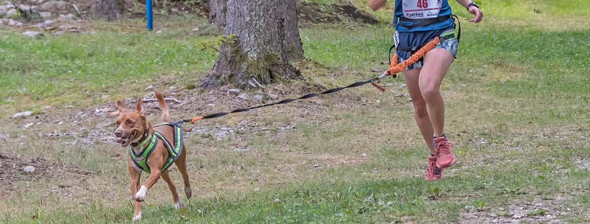 sporty-dogs-piacenza sporty dogs Piacenza