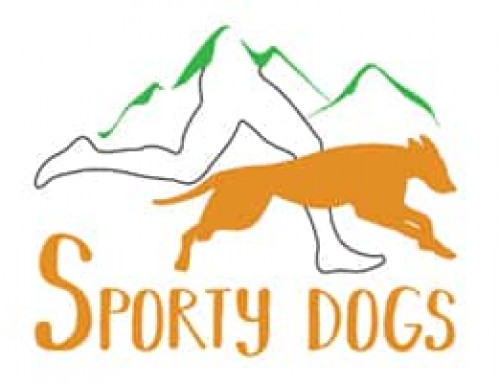 Sporty Dogs