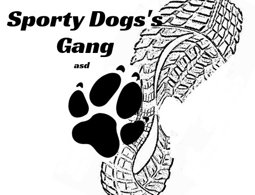 Sporty Dogs Gang